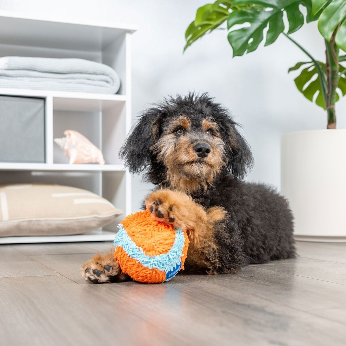 Chuckit Indoor Ball