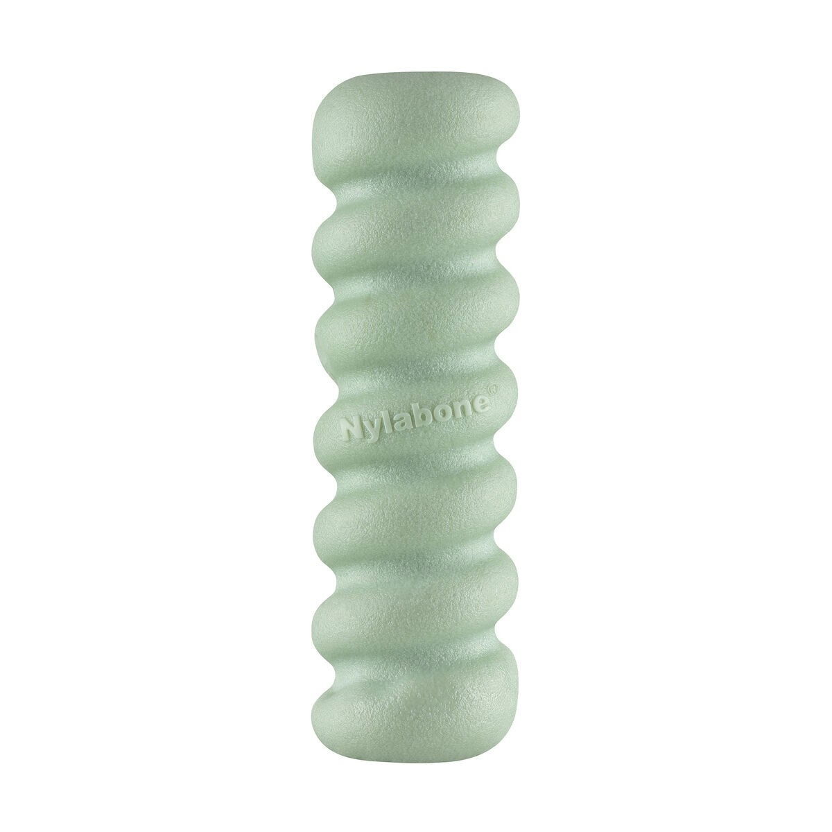 Nylabone Puppy Tactile stick peanut butter S