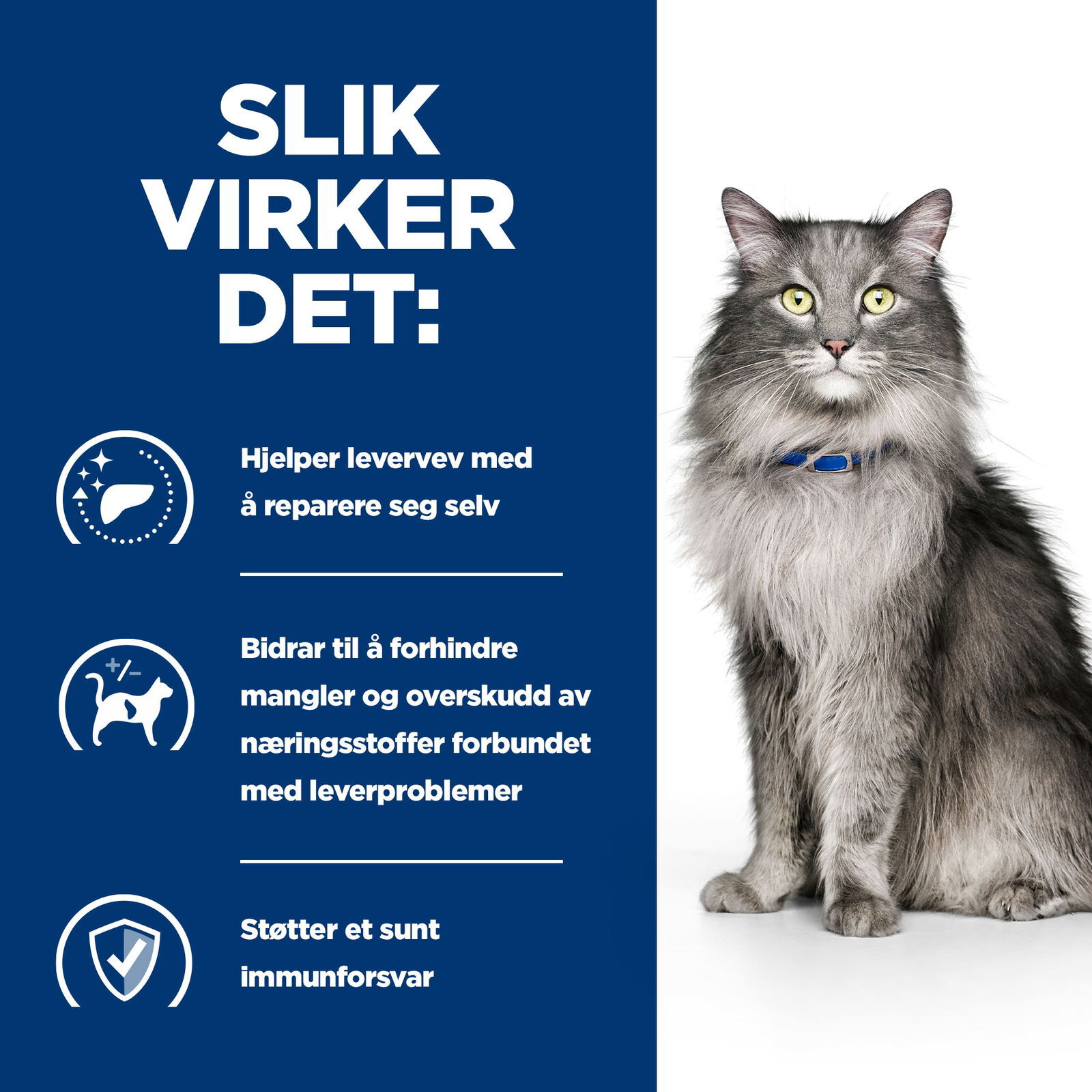 Hills Diet Cat l/d 1,5kg