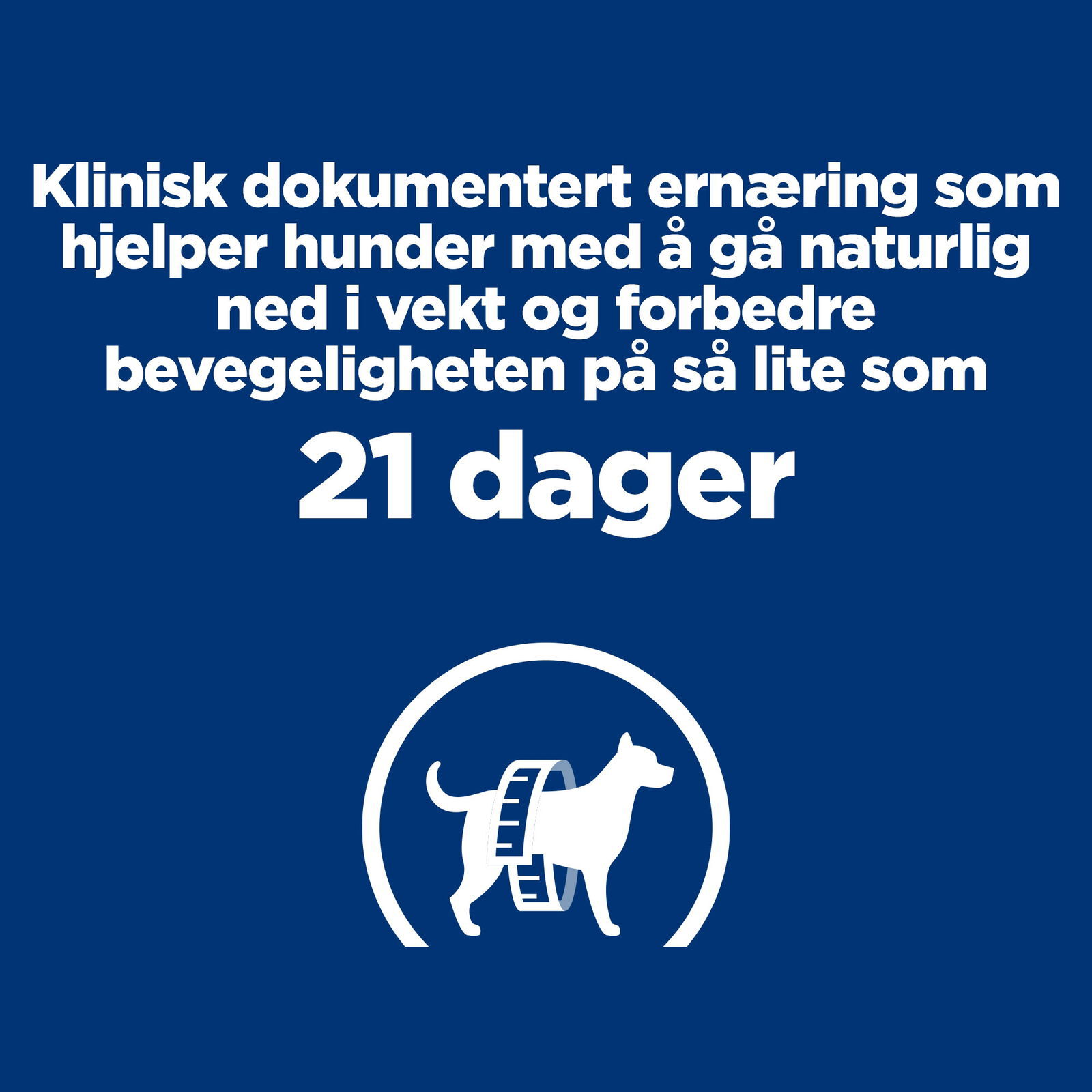 Hills Diet Dog Metabolic + Mobility 12kg