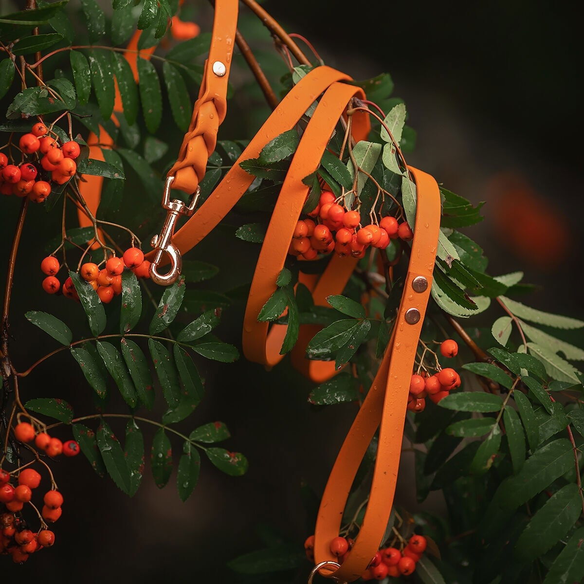 Tyylivoitto Braid leash, burnt orange