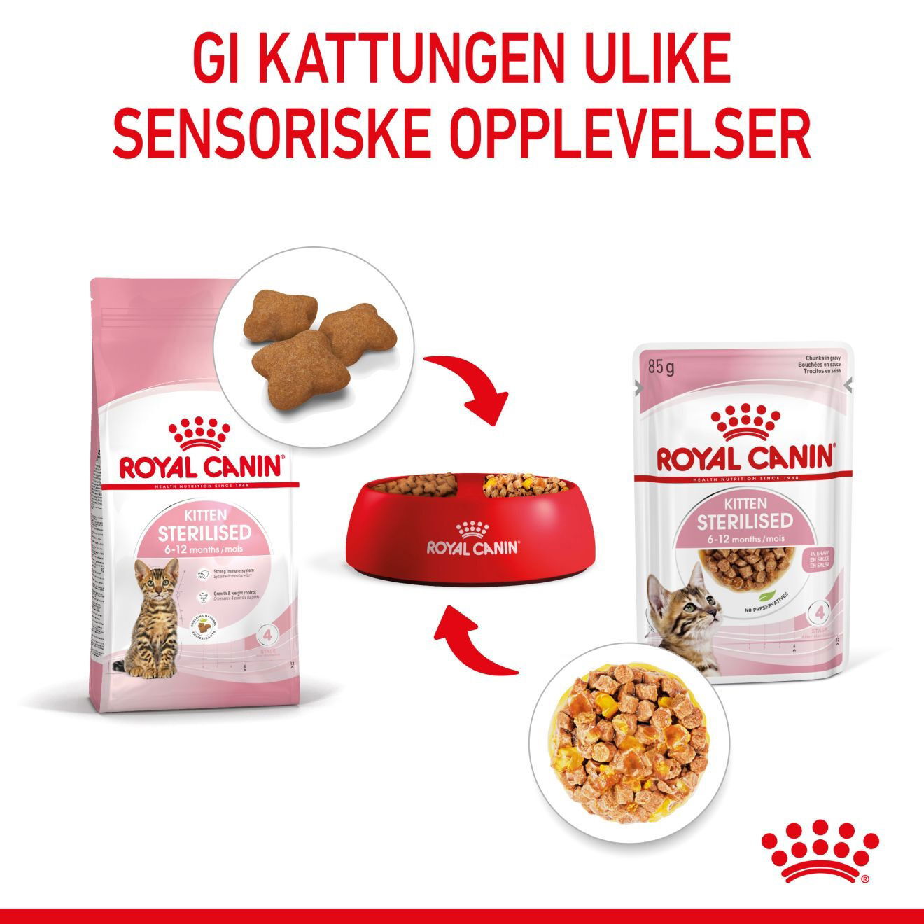 RC FHN Kitten Sterilised Jelly 12x85g