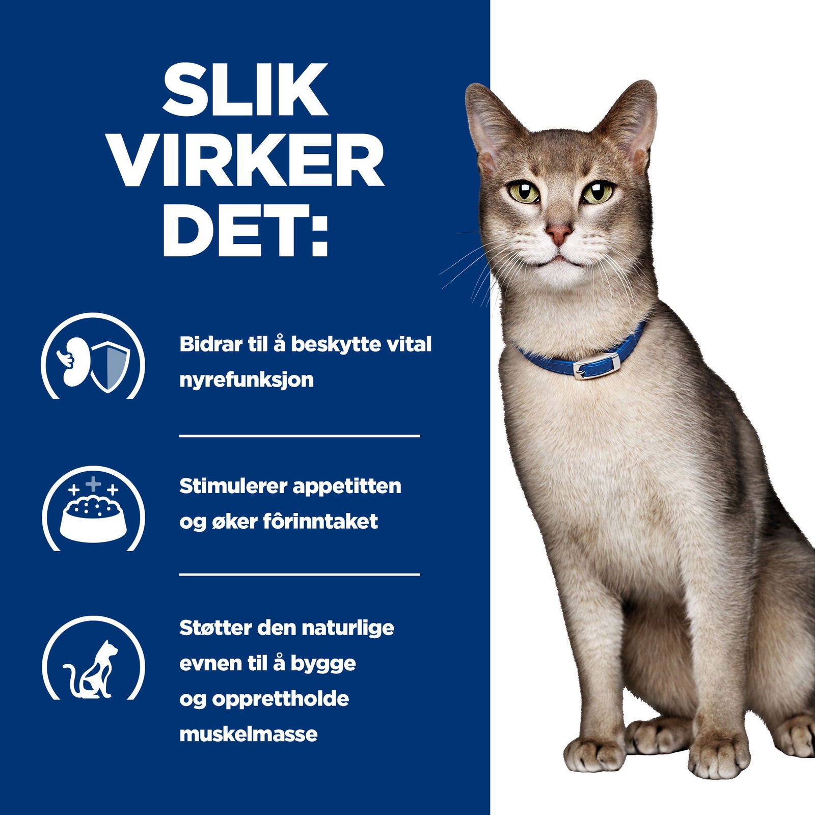 Hills Diet Cat k/d 1,5kg