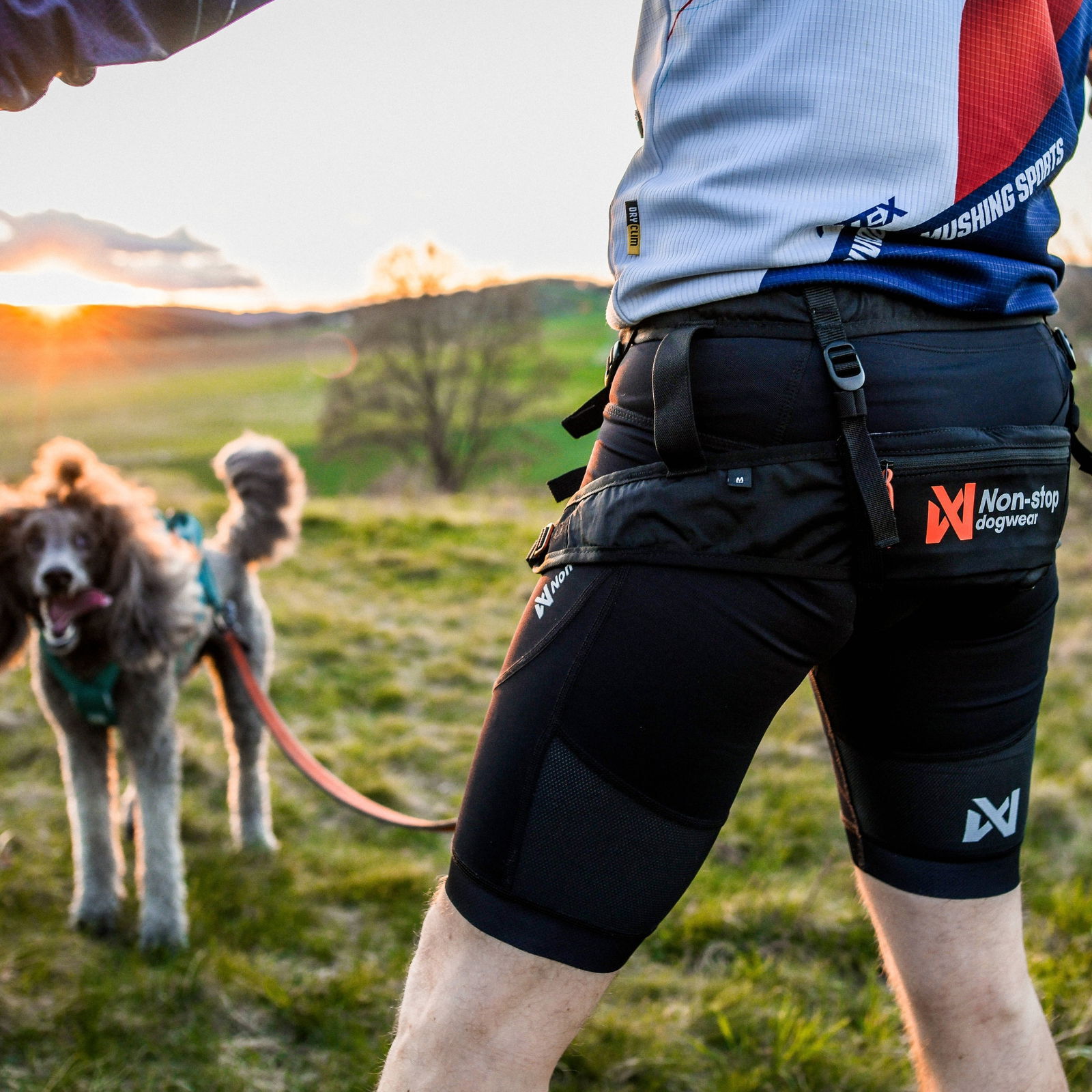 Non-stop dogwear Canix belt 2.0 black