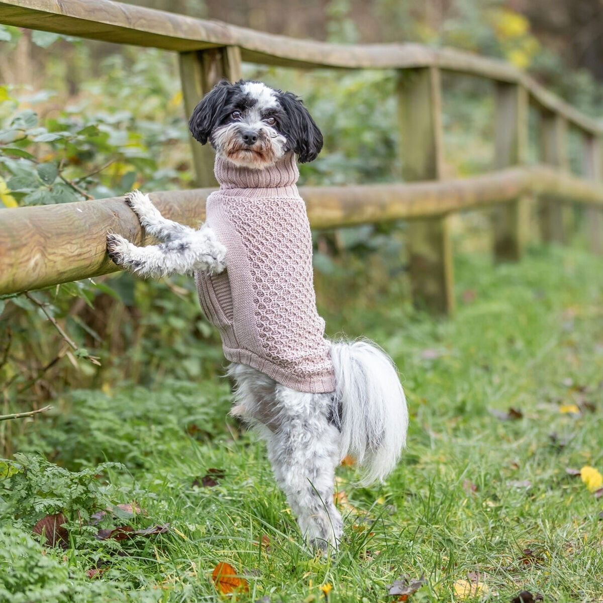 Trixie Norwood pullover, blush