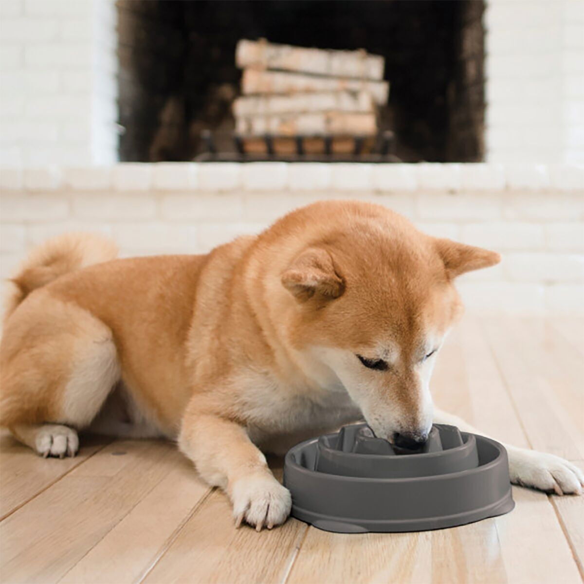 Slow feeder Outward Hound Drop M