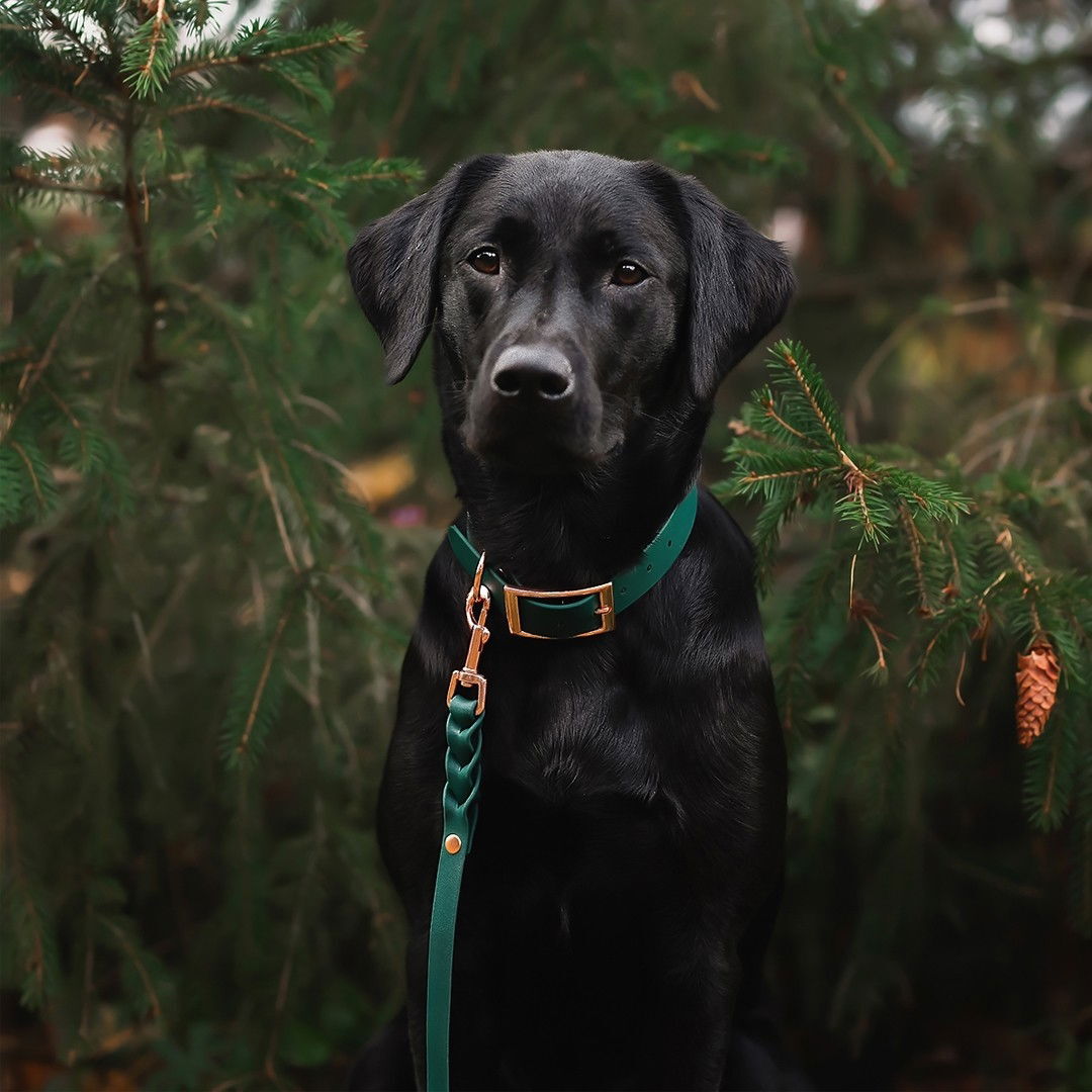 Tyylivoitto Classy collar emerald