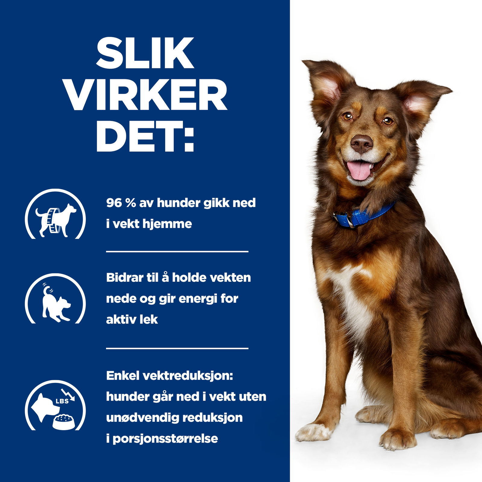 Hills Diet Dog Metabolic 1,5kg
