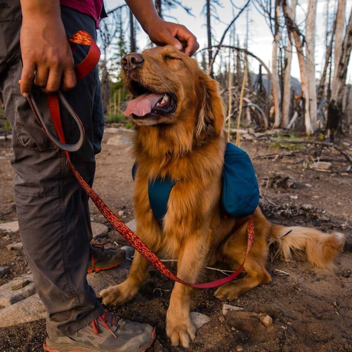 Ruffwear Front Range™ Day Pack Blue Moon 