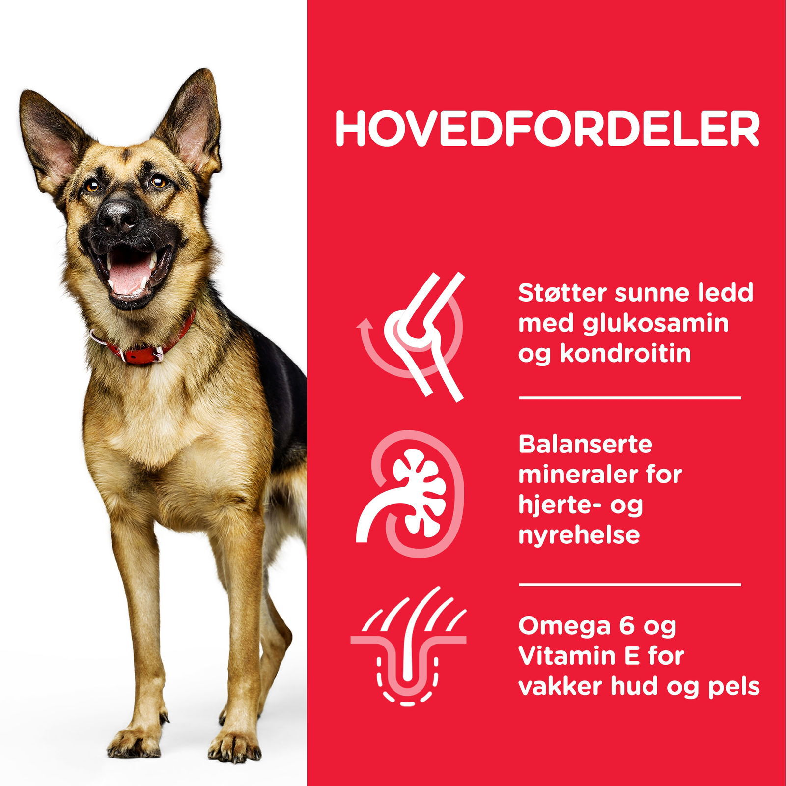 Hill's Science Plan Dog Mature Large Breed Chicken