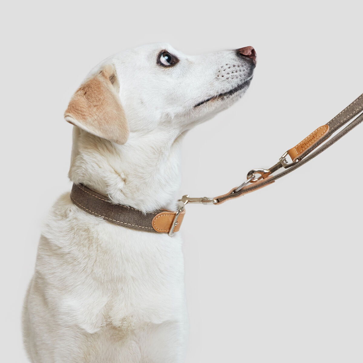 Cloud7 Collar Tivoli Greige