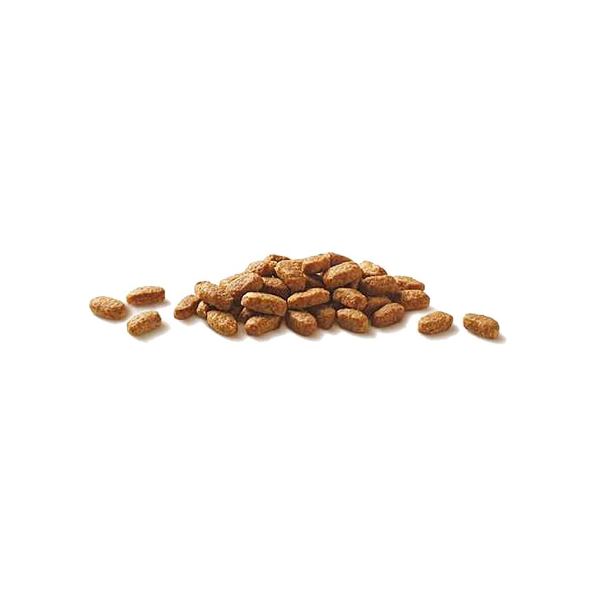 Purina ONE Sterilcat Storfe