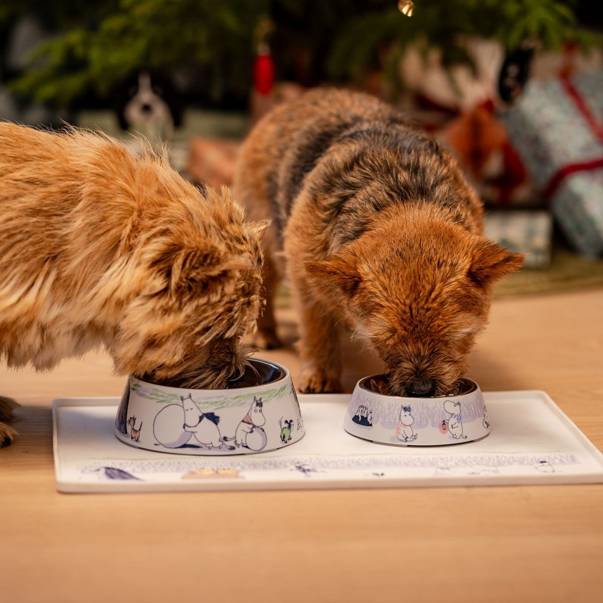 Moomin for Pets Winter bowl
