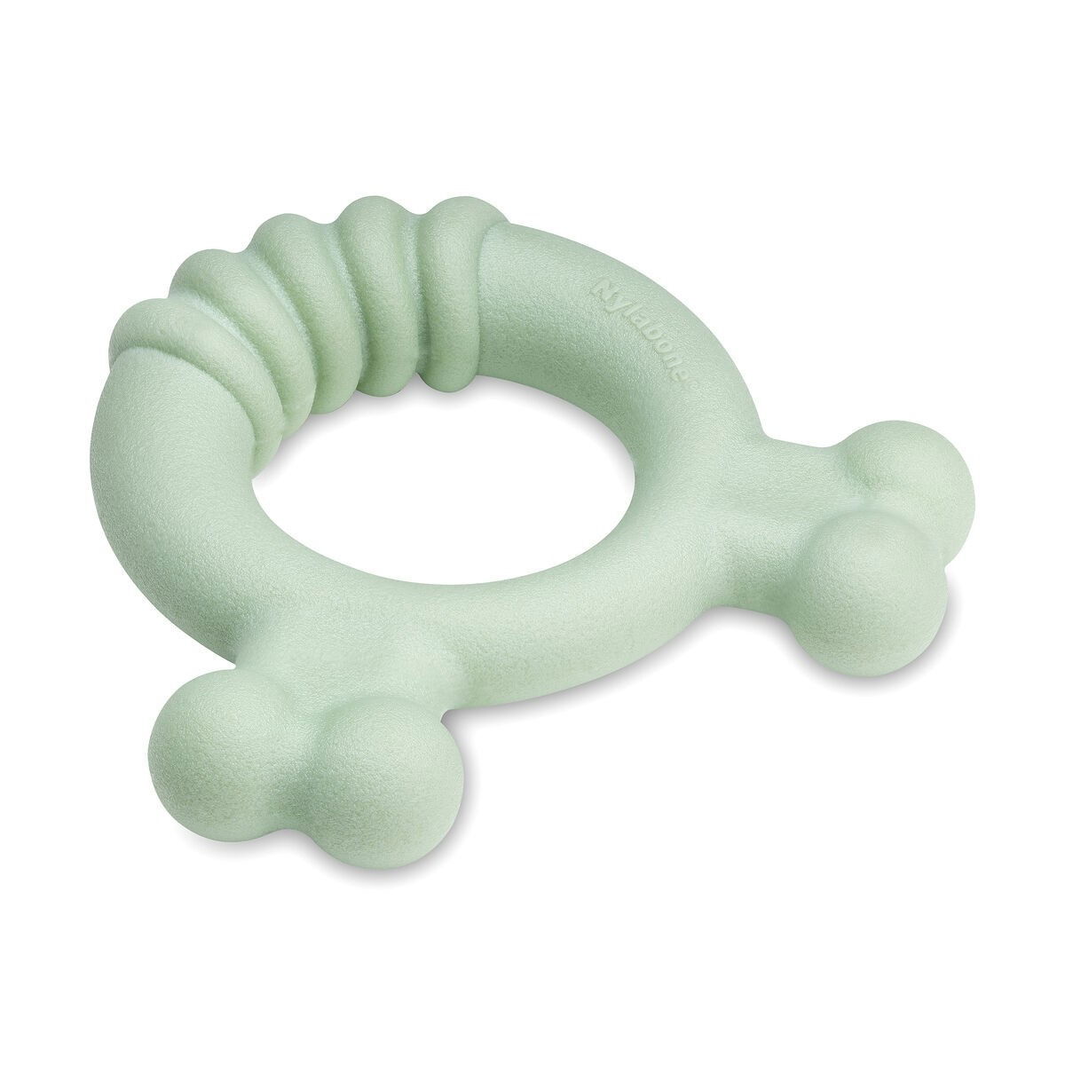 Nylabone Puppy Tactile ring chicken S