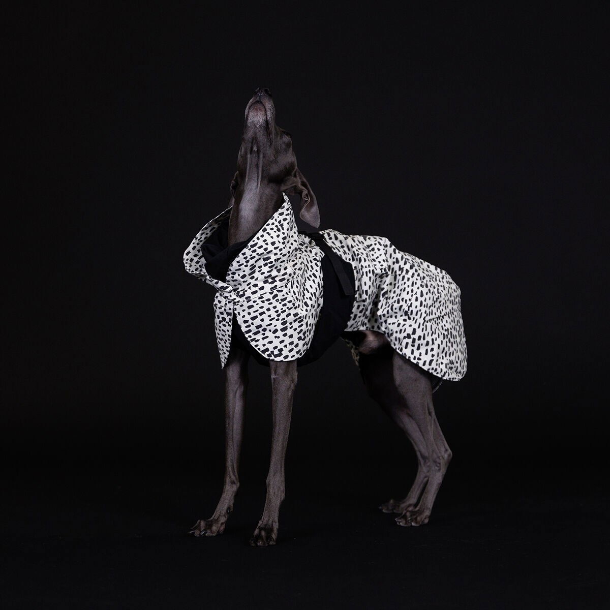 PAIKKA Raincoat  2.0