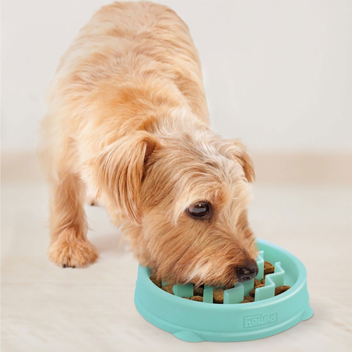 Slow feeder Outward Hound Wave S