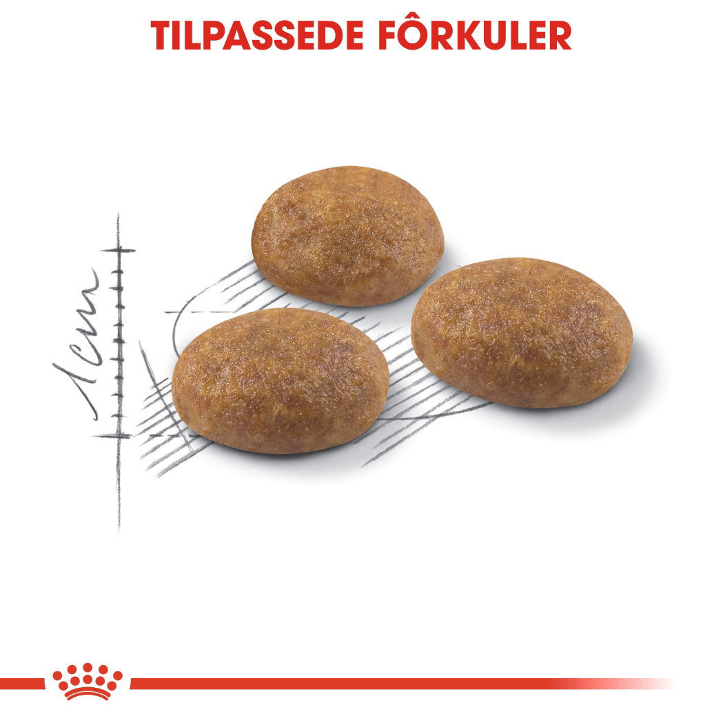 Royal Canin Outdoor Adult tørrfôr til katt