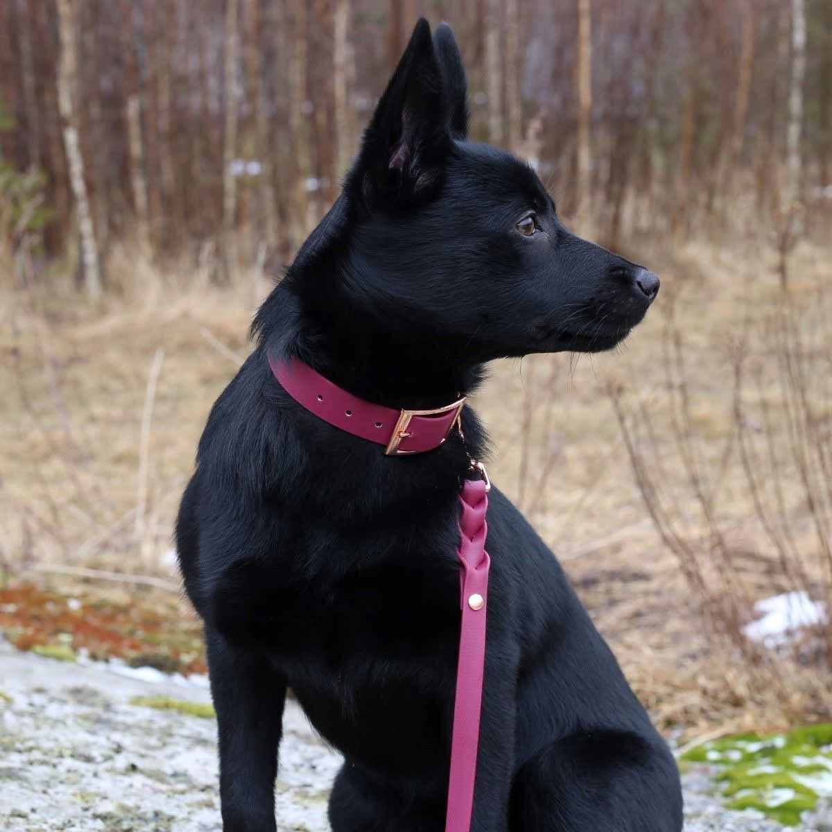 Tyylivoitto Braid leash, burgundy