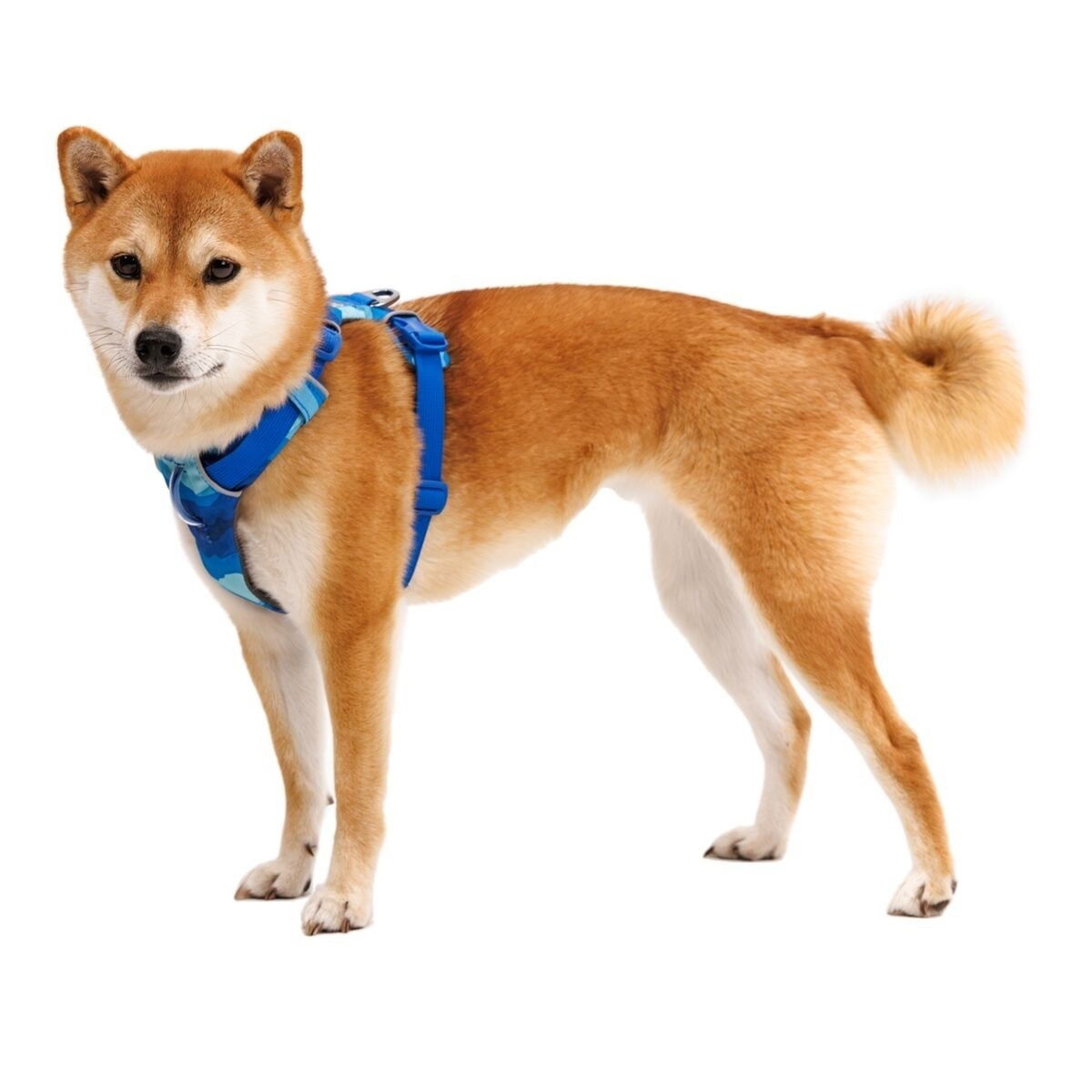 Ruffwear Front Range Harness Coastal Mountains