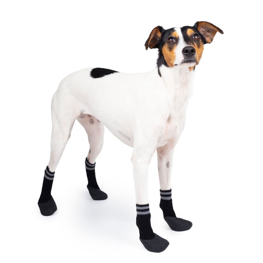Basic Paws socks 4pcs black