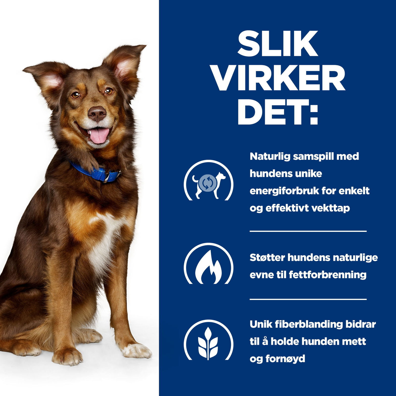 Hills Diet Dog Metabolic 1,5kg