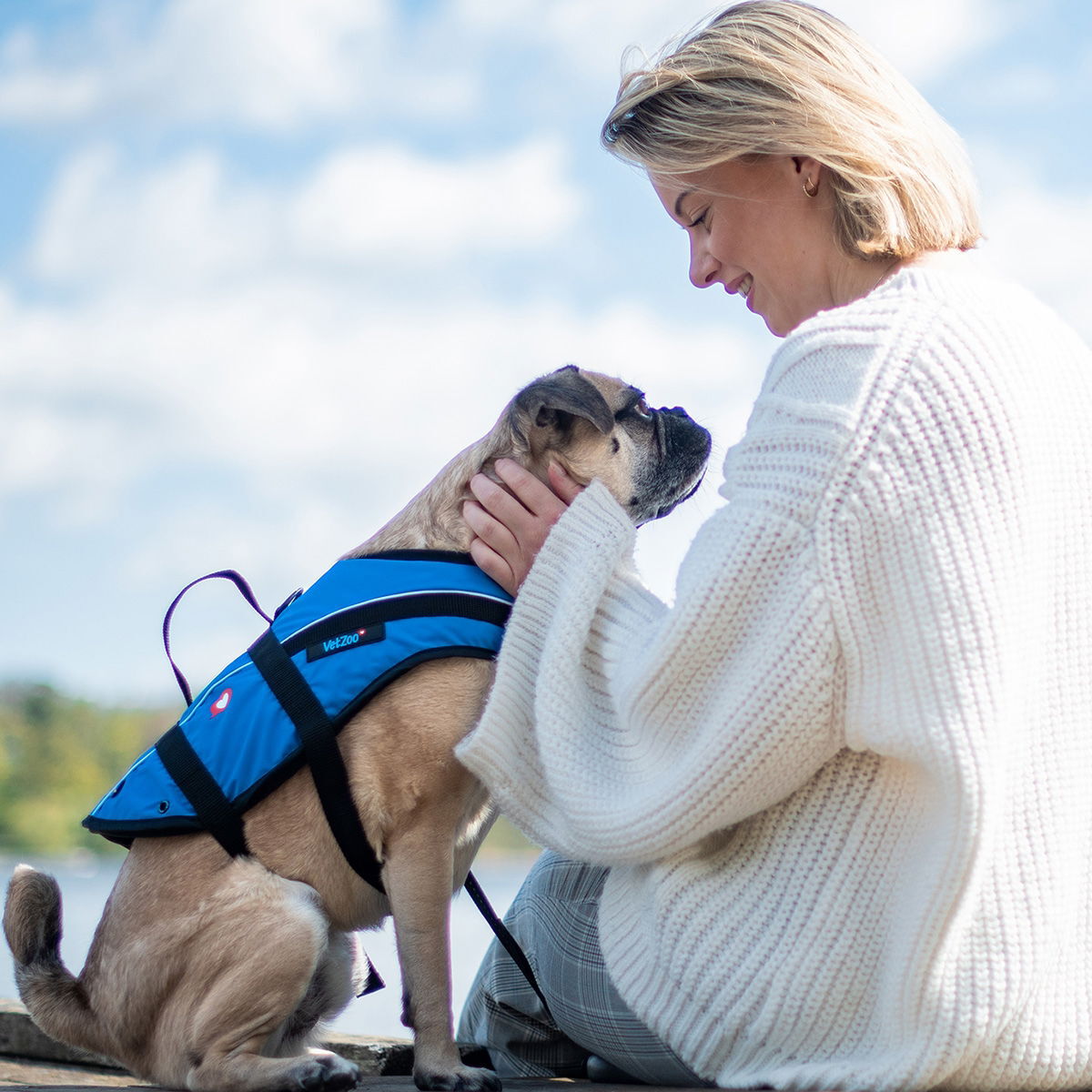 Baltic Vetzoo Life Vest Dog Blue