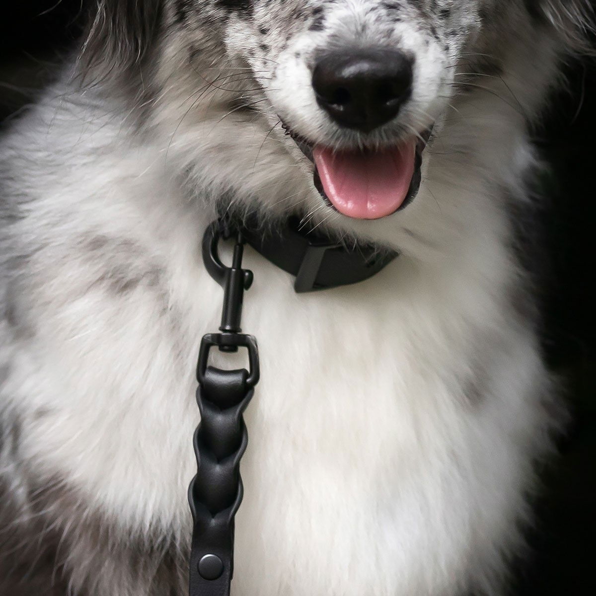 Tyylivoitto Braid leash, Black on Black