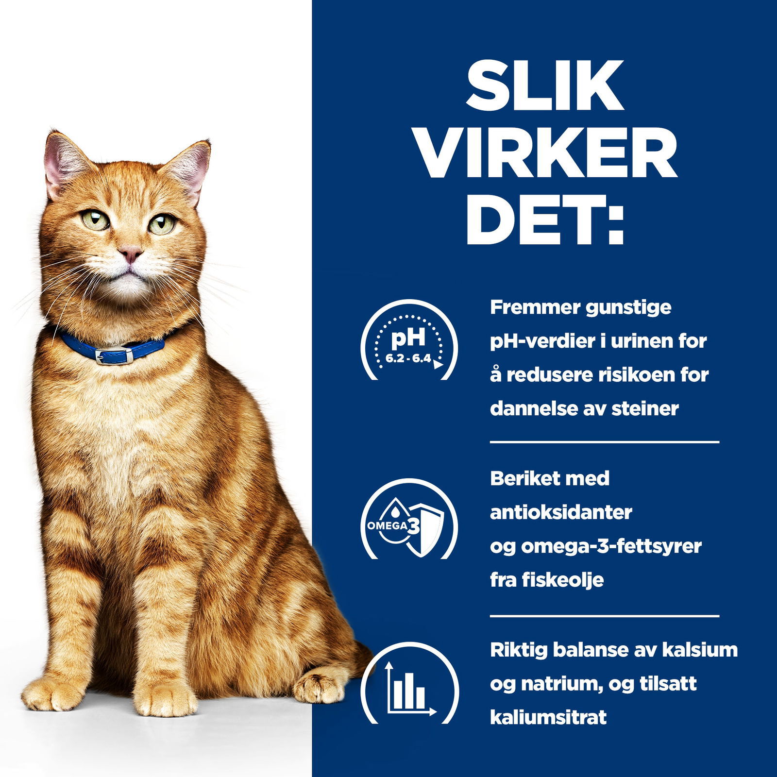 Hill's Diet Cat c/d Stew Chicken & Vegetables 82 g