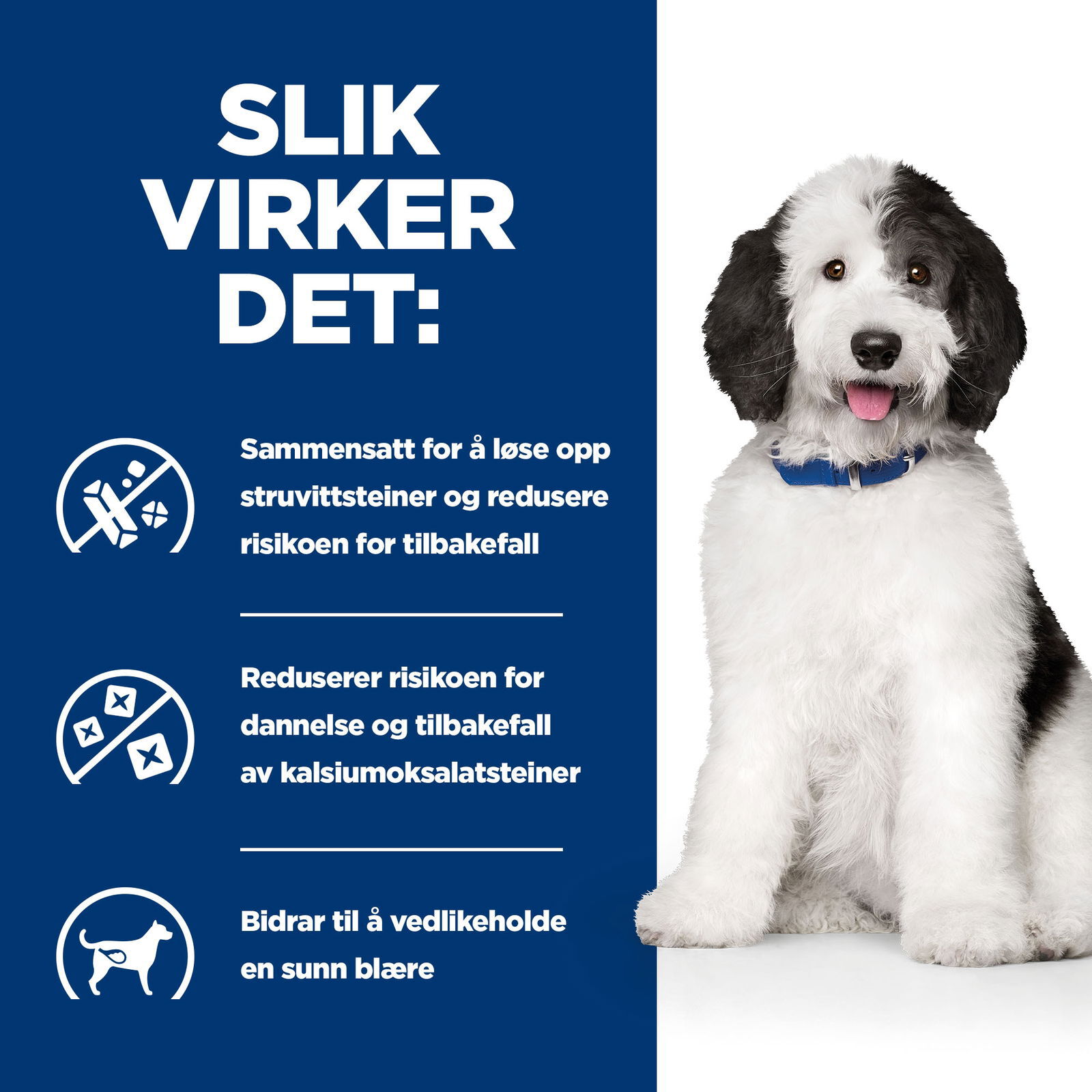 Hill's Diet Dog c/d Multicare Stew 354 g