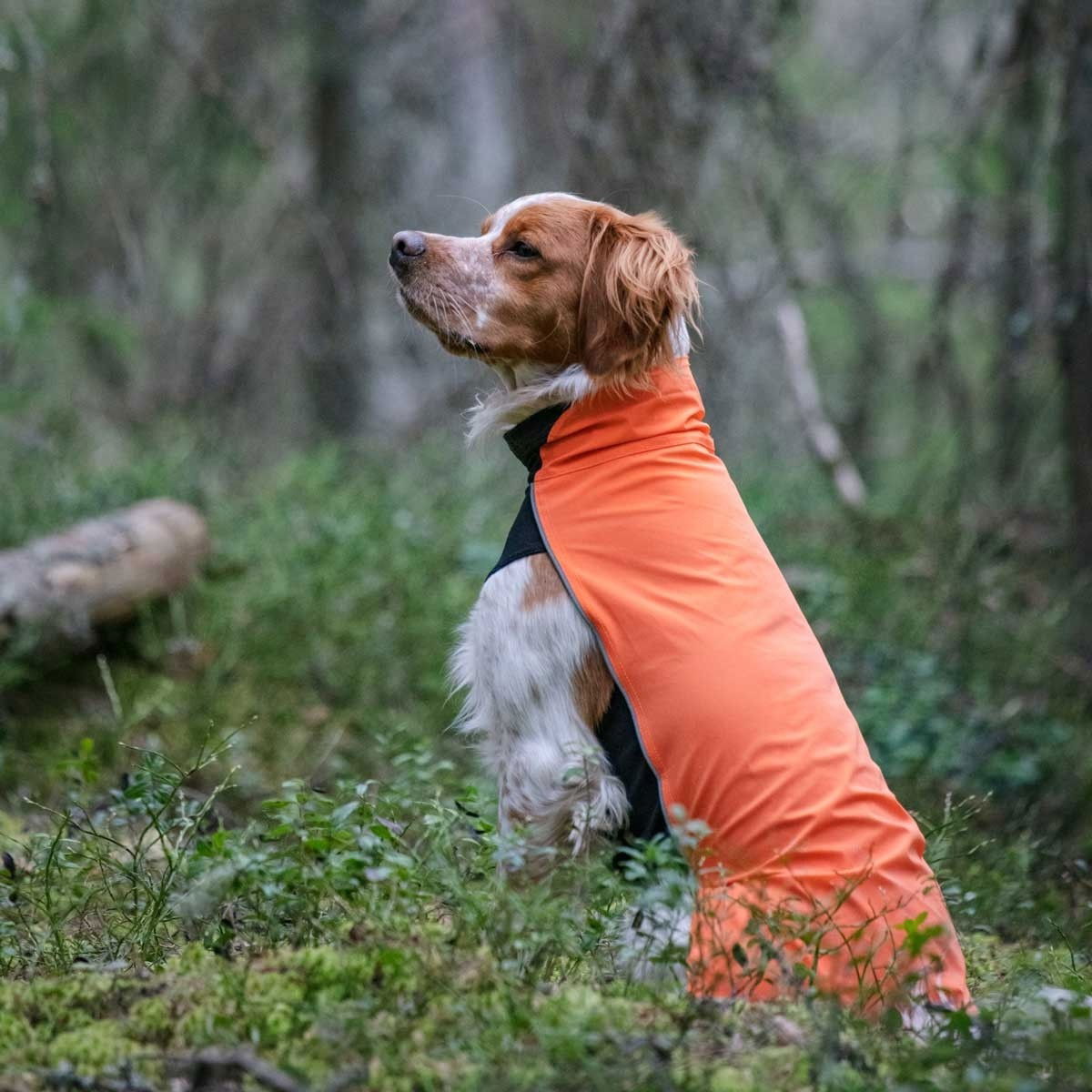 Feel Active Drammen shirt orange