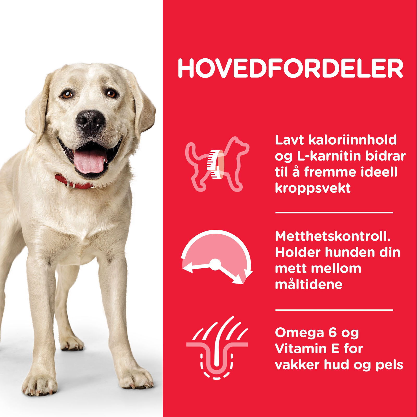 Hill's Science Plan Dog Adult Large Breed Light