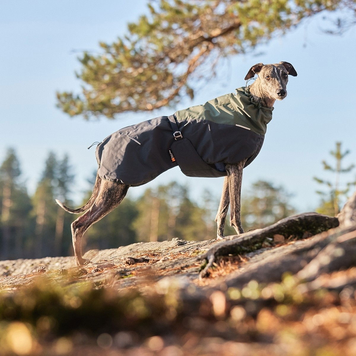 Non-Stop Glacier wool jacket 2.0, green/grey