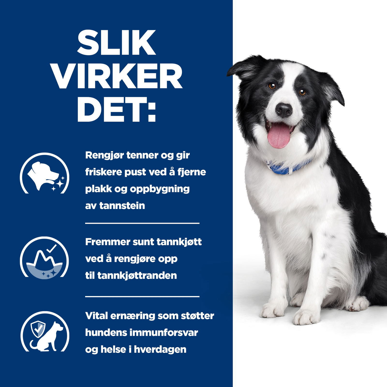 Hills Diet Dog t/d 10kg