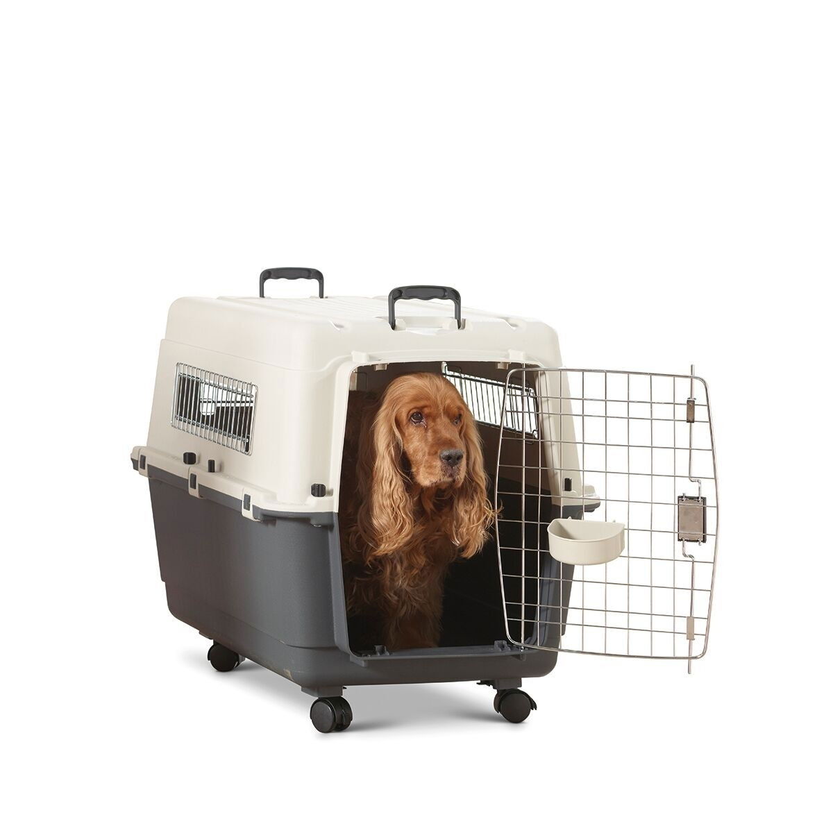Savic Andes transport crate