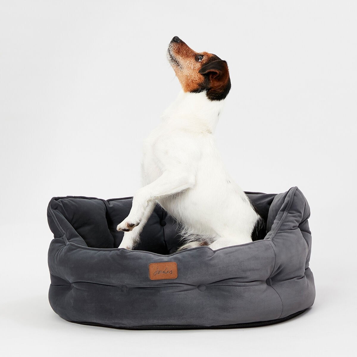 Joules Chesterfield bed grey