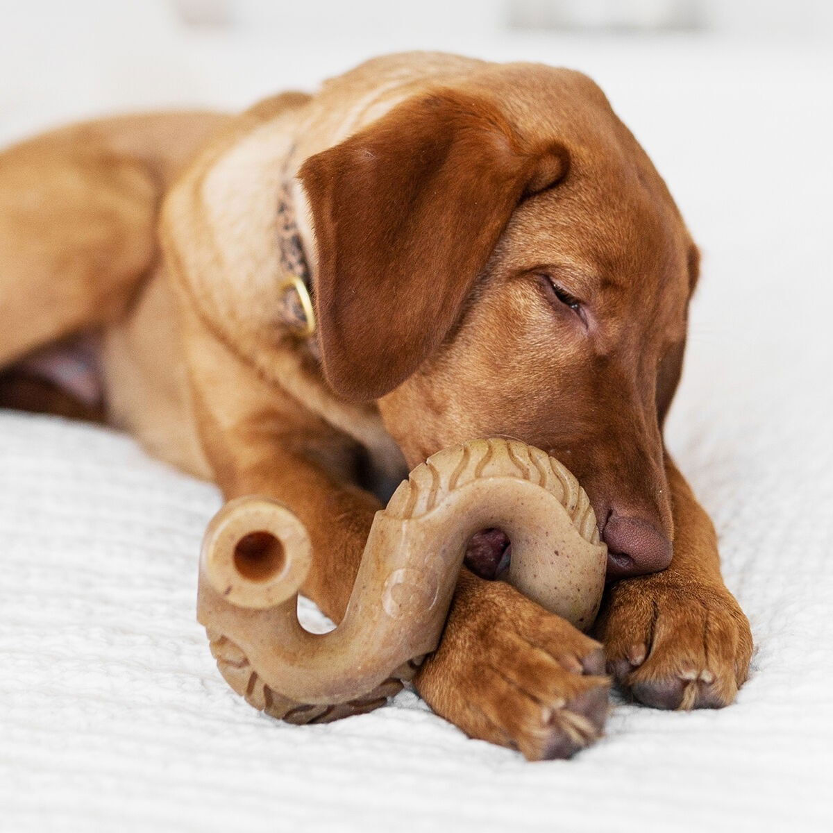BB Tripe Bone