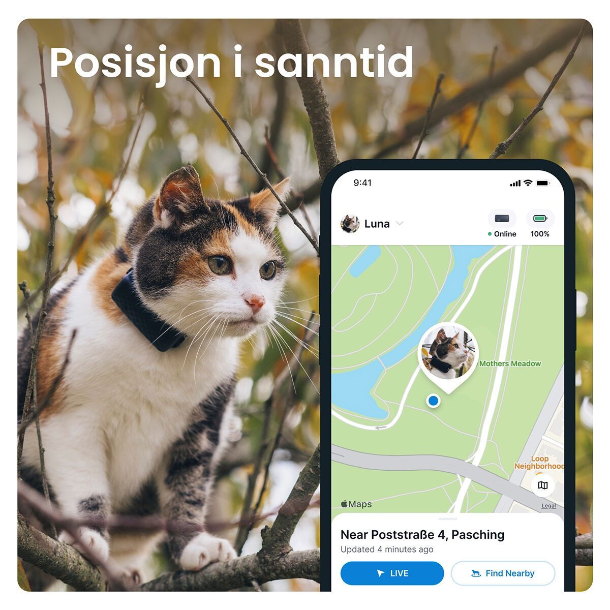 Tractive GPS CAT Mini