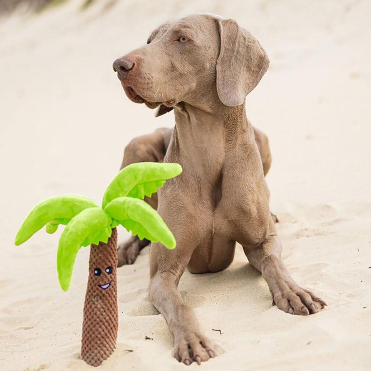 Beeztees Plush Dog Toy palmtree