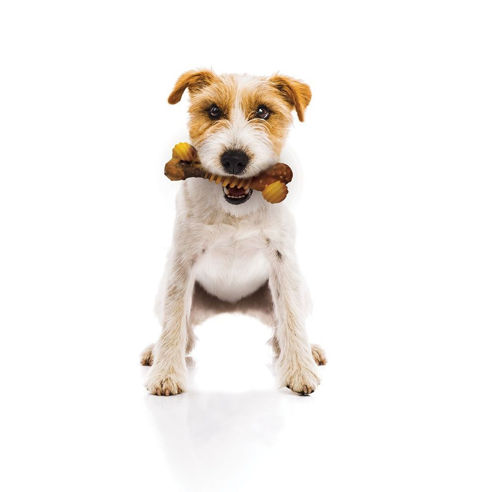 Nylabone Extreme Texture Beef and Cheese