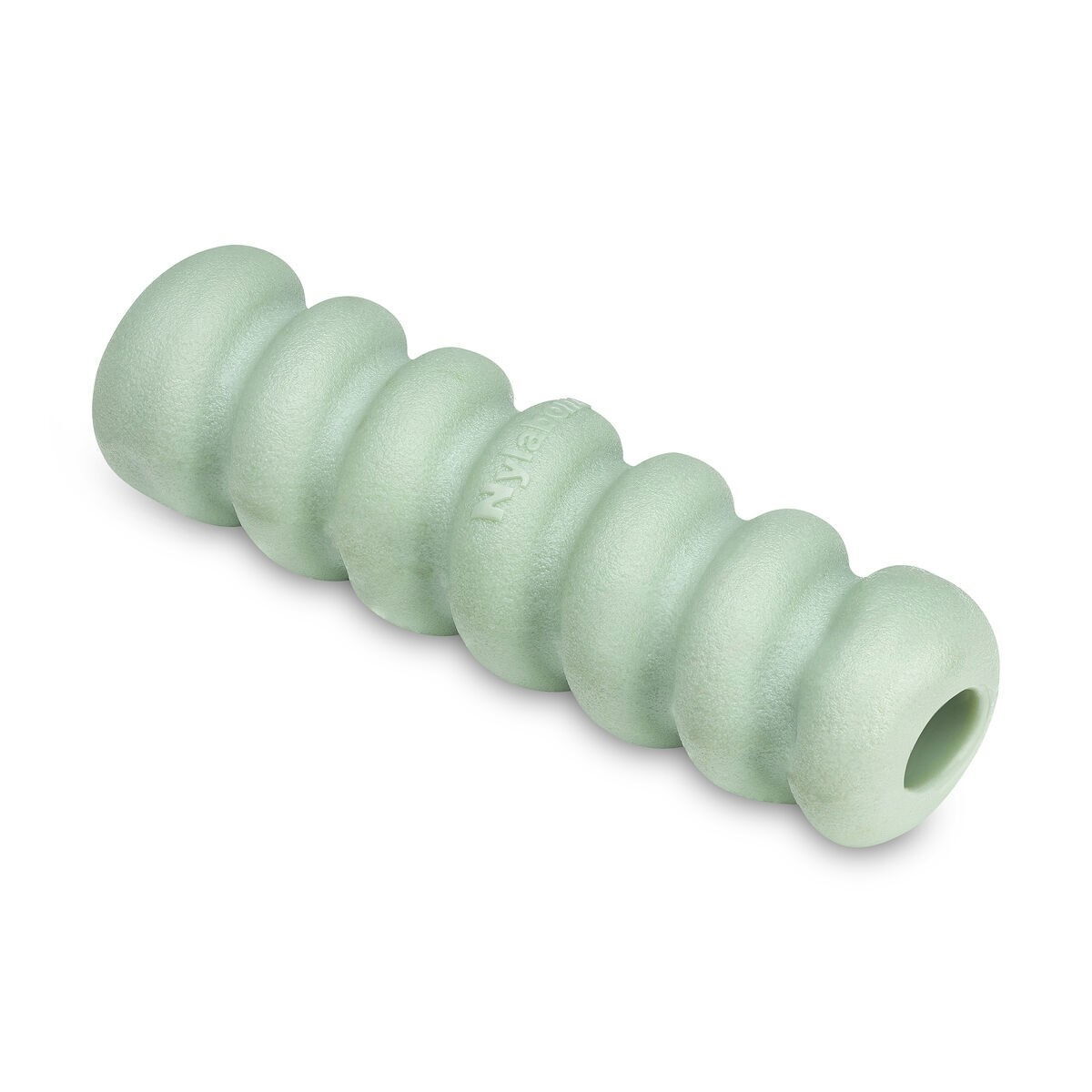 Nylabone Puppy Tactile stick peanut butter S