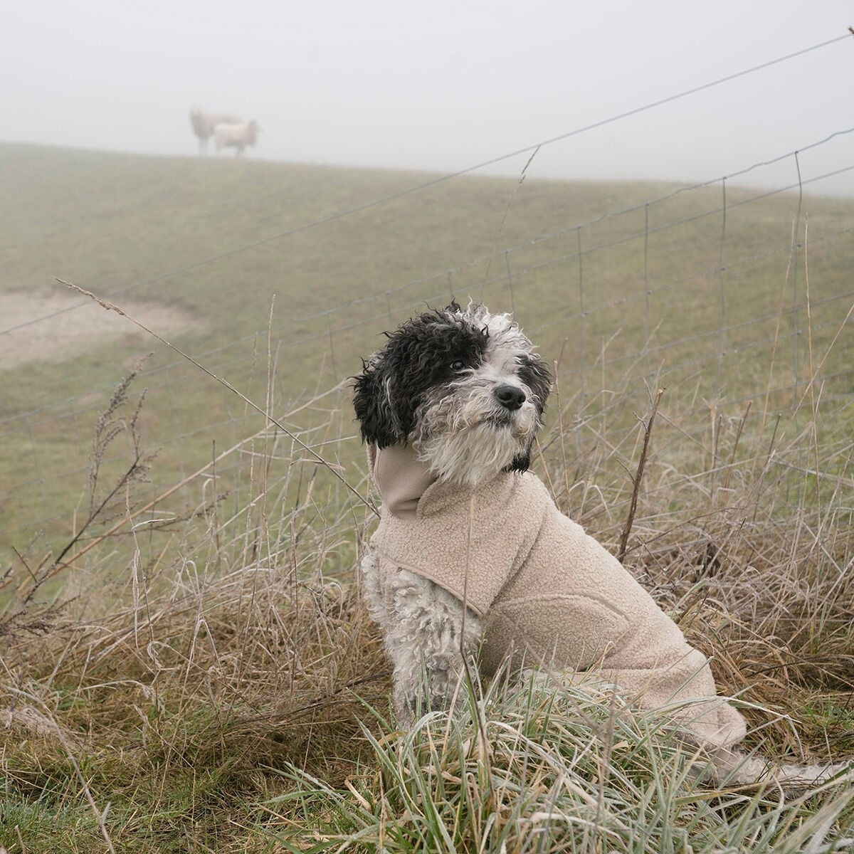 Cloud7 Dog Sweater Gotland, Beige