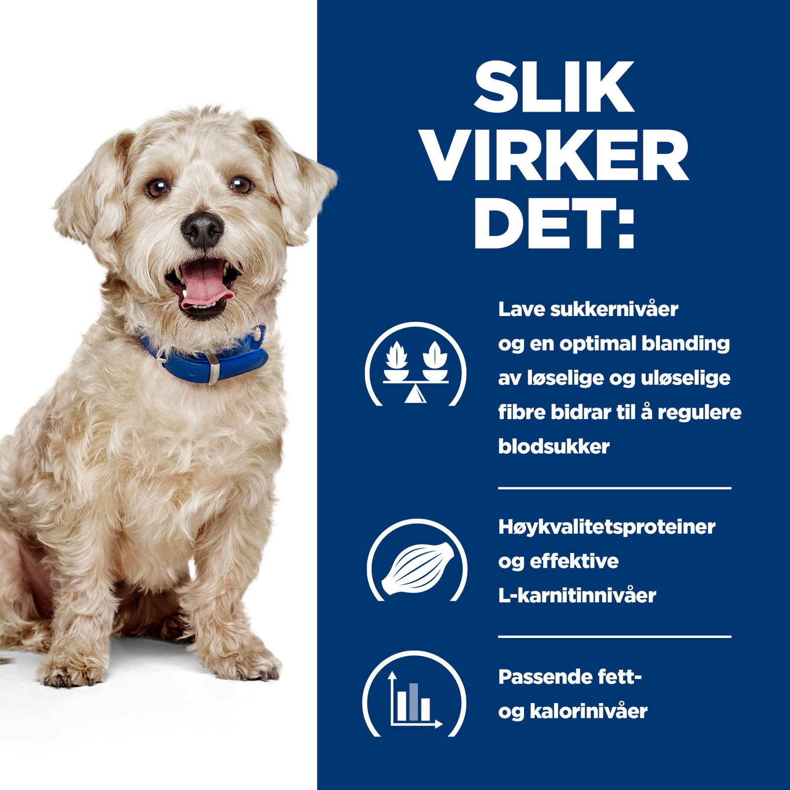 Hills Diet Dog w/d 4kg