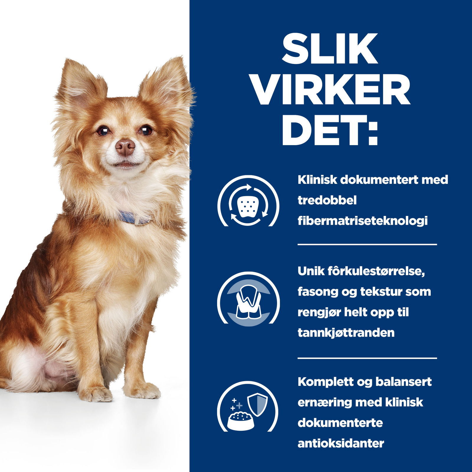 Hills Diet Dog t/d Mini 3kg