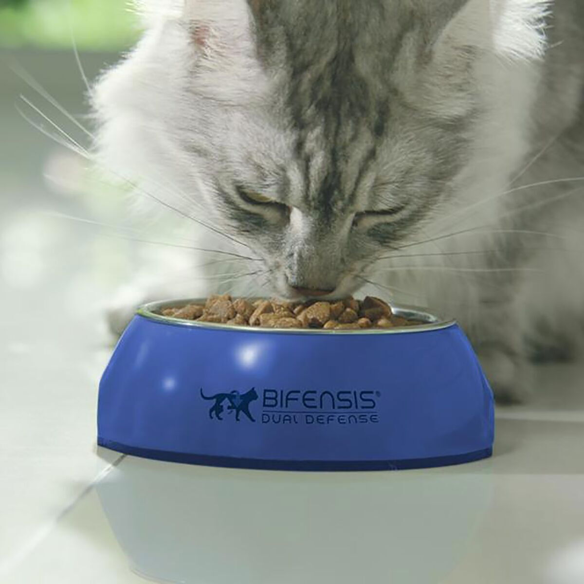 Purina ONE Adult Laks