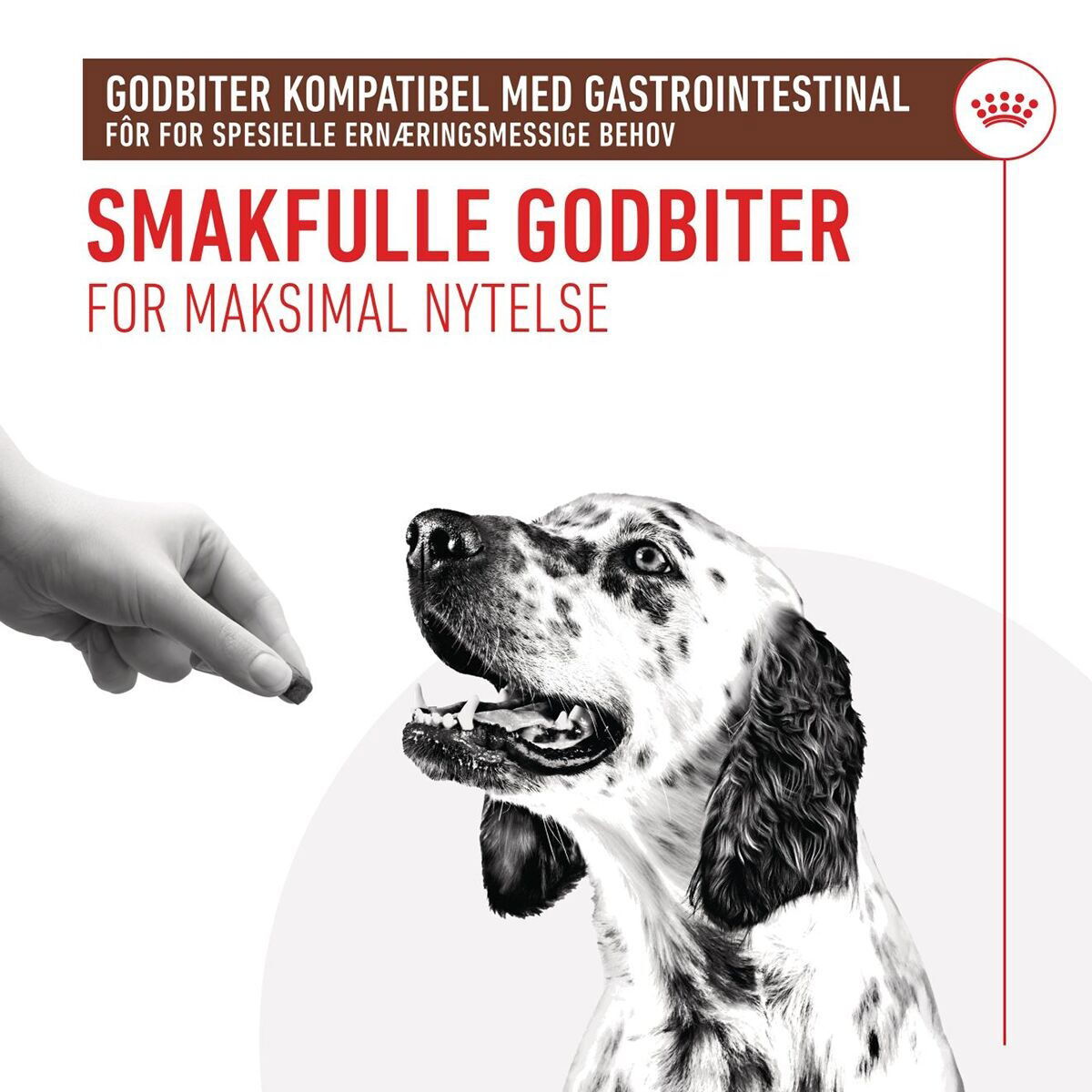 Royal Canin Veterinary Diets Dog Gastro Treats 230g