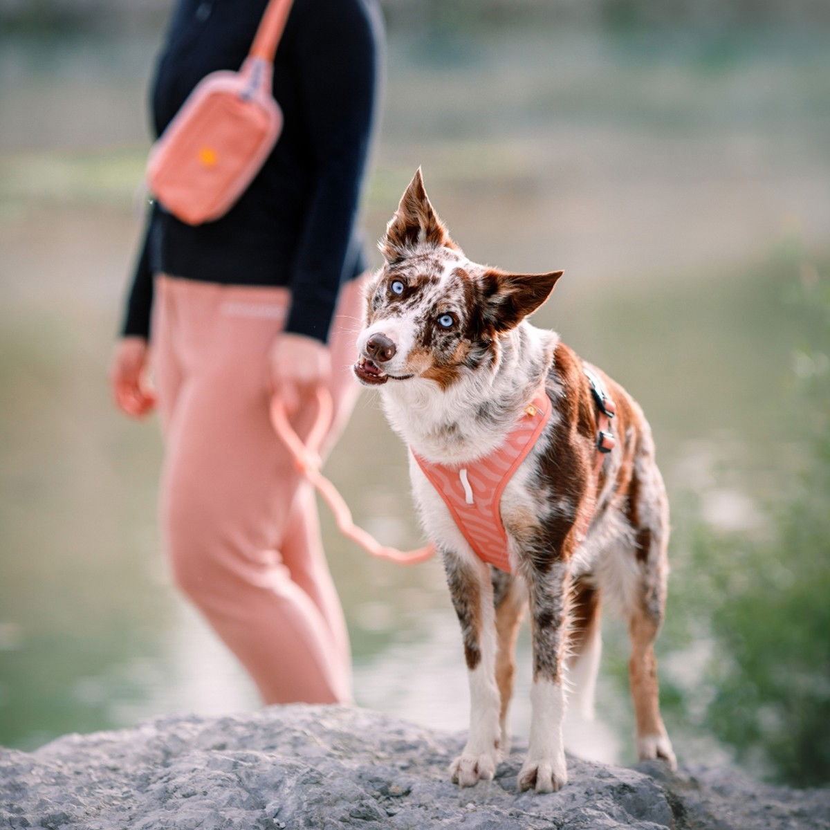 Woolly Wolf Roam Harness Salmon Pink Ripple