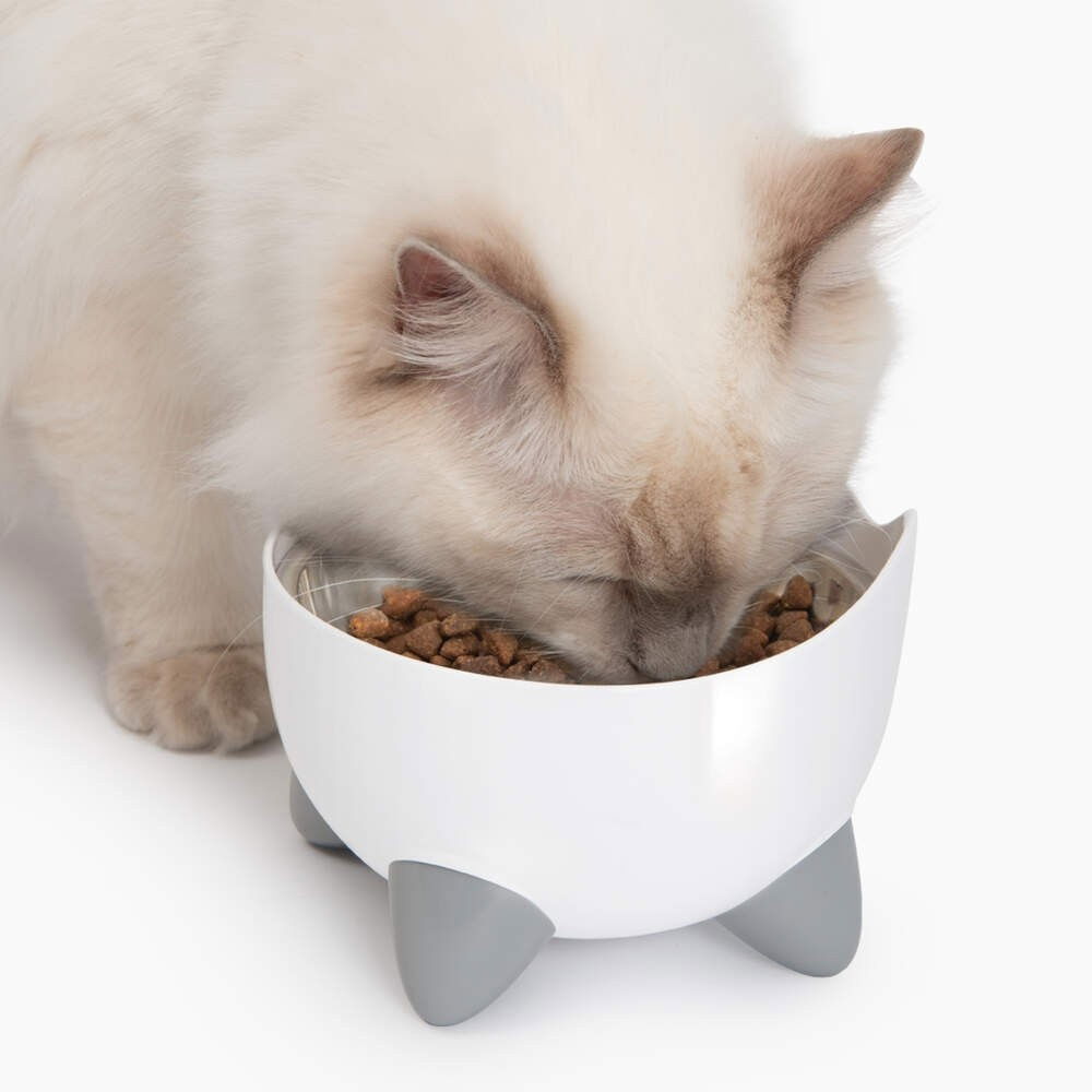 Catit Pixi Combo kit with fountain & elevated bowl white