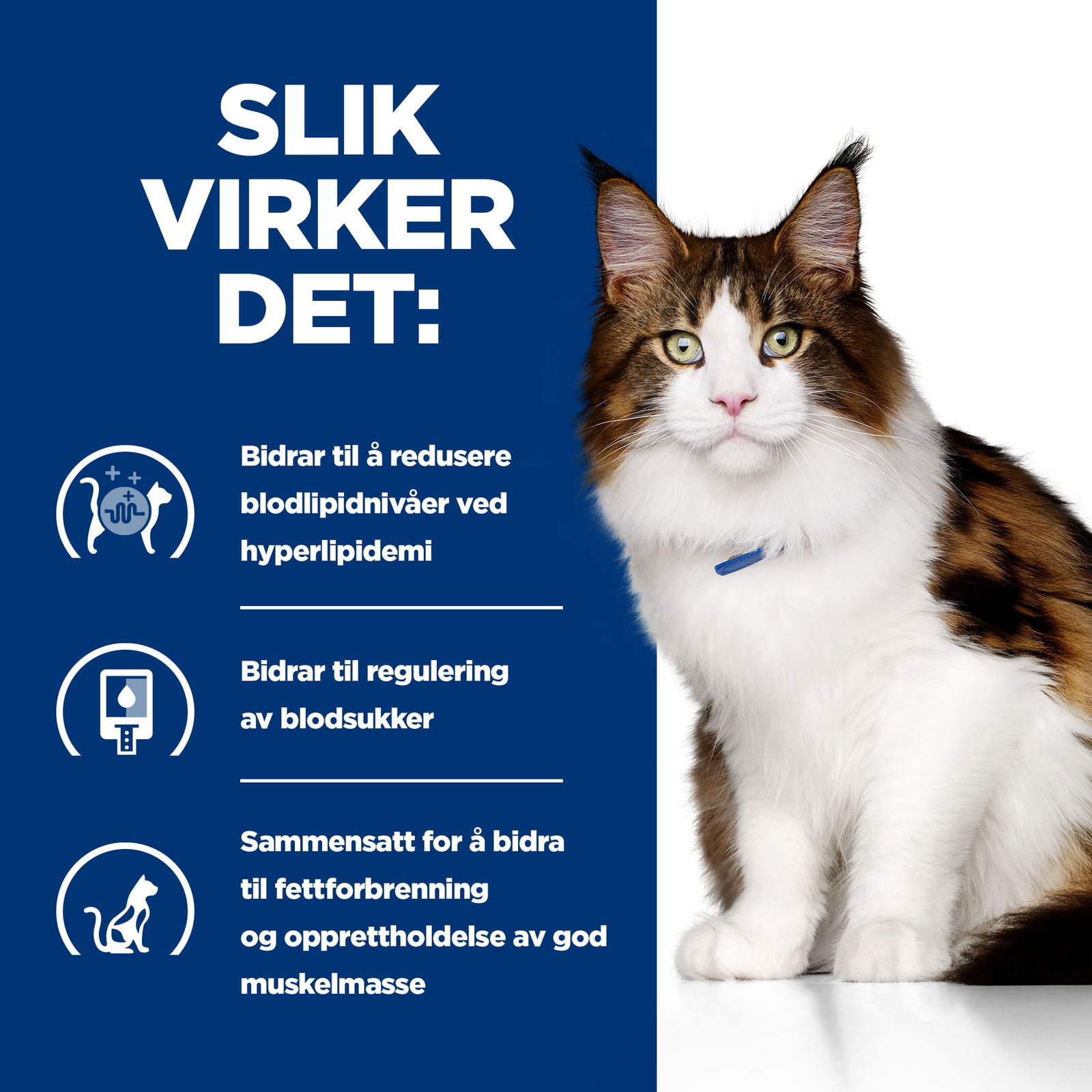 Hill's Diet Cat w/d Minced can 156 g