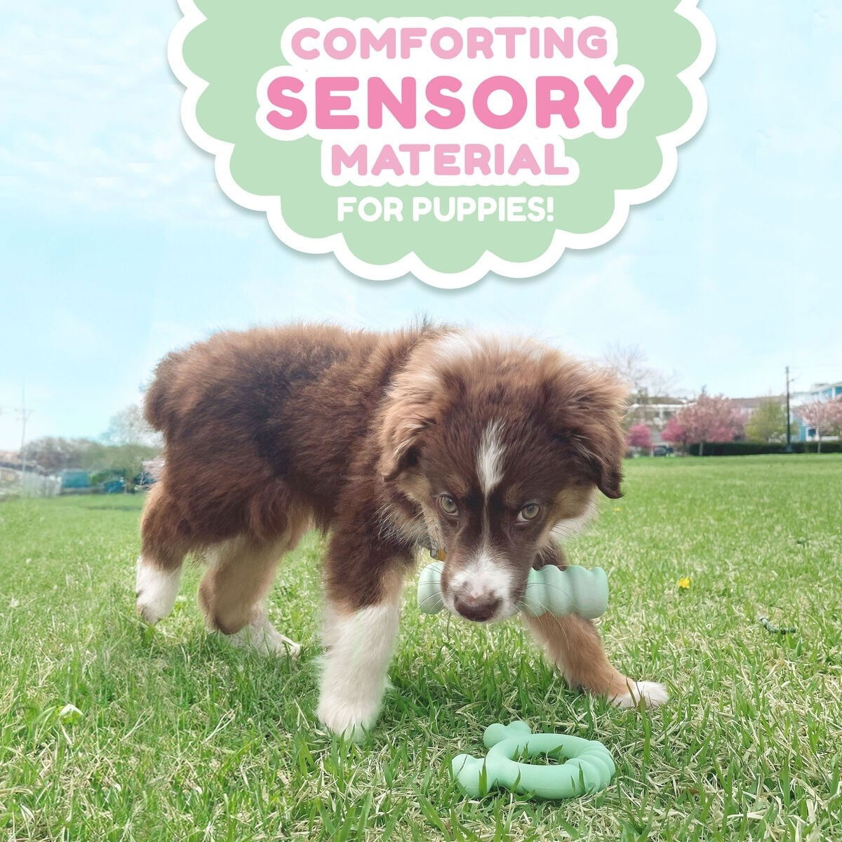 Nylabone Puppy Tactile ring chicken S