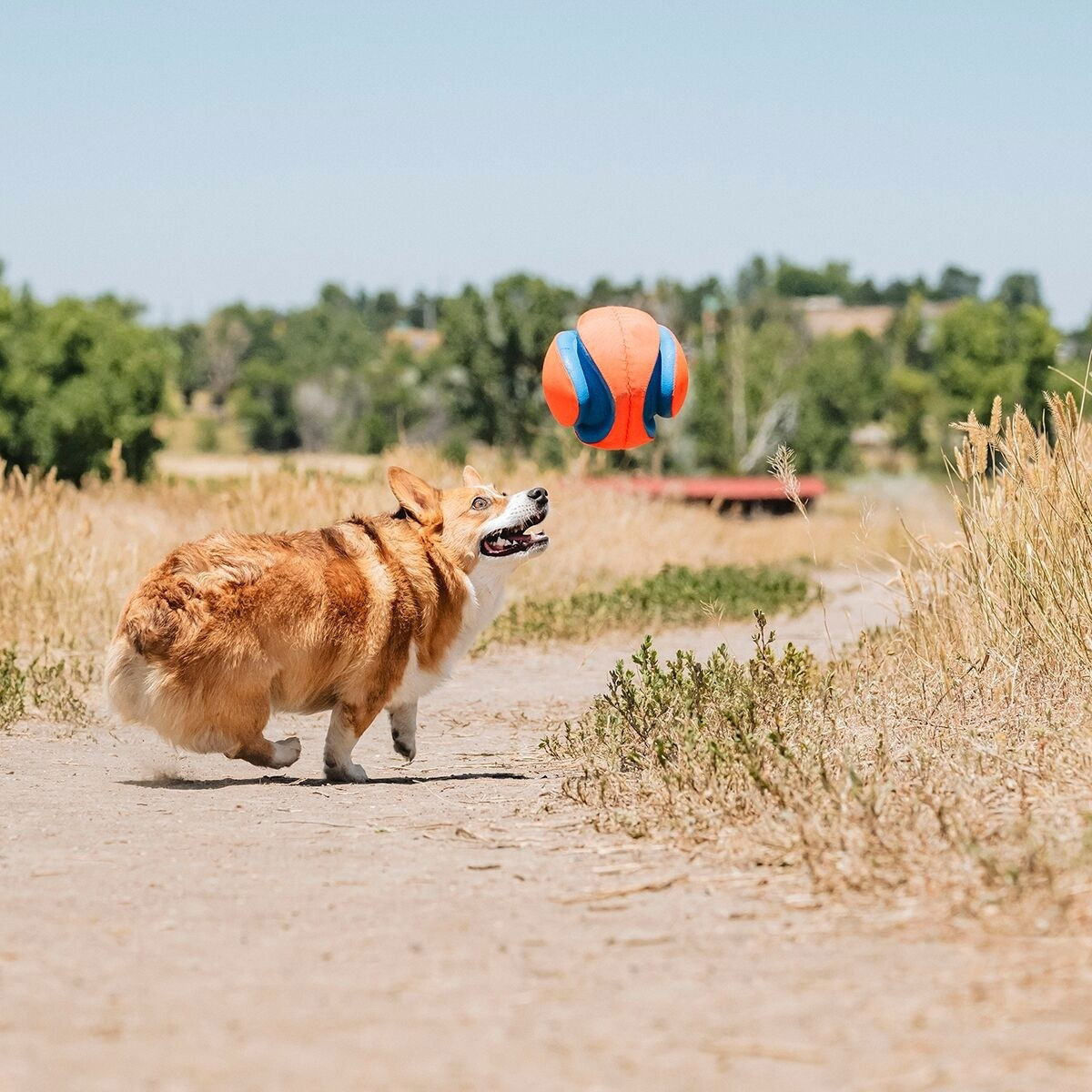Chuckit Kick Fetch Ball